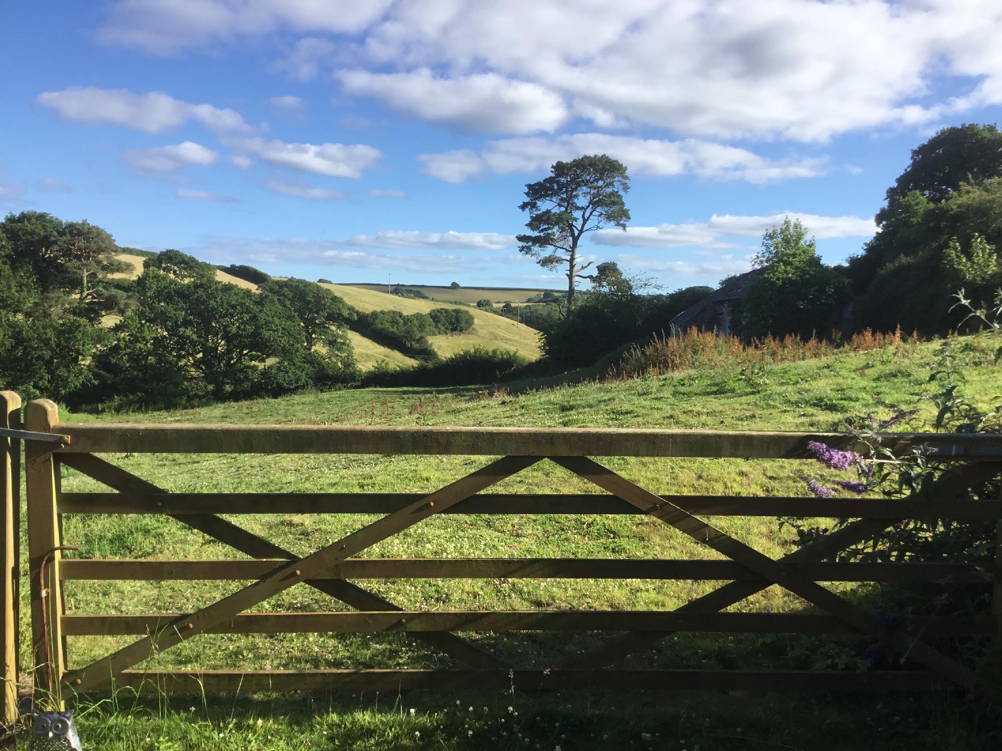 Rural Countryside open fields