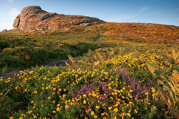 Dartmoor National Park