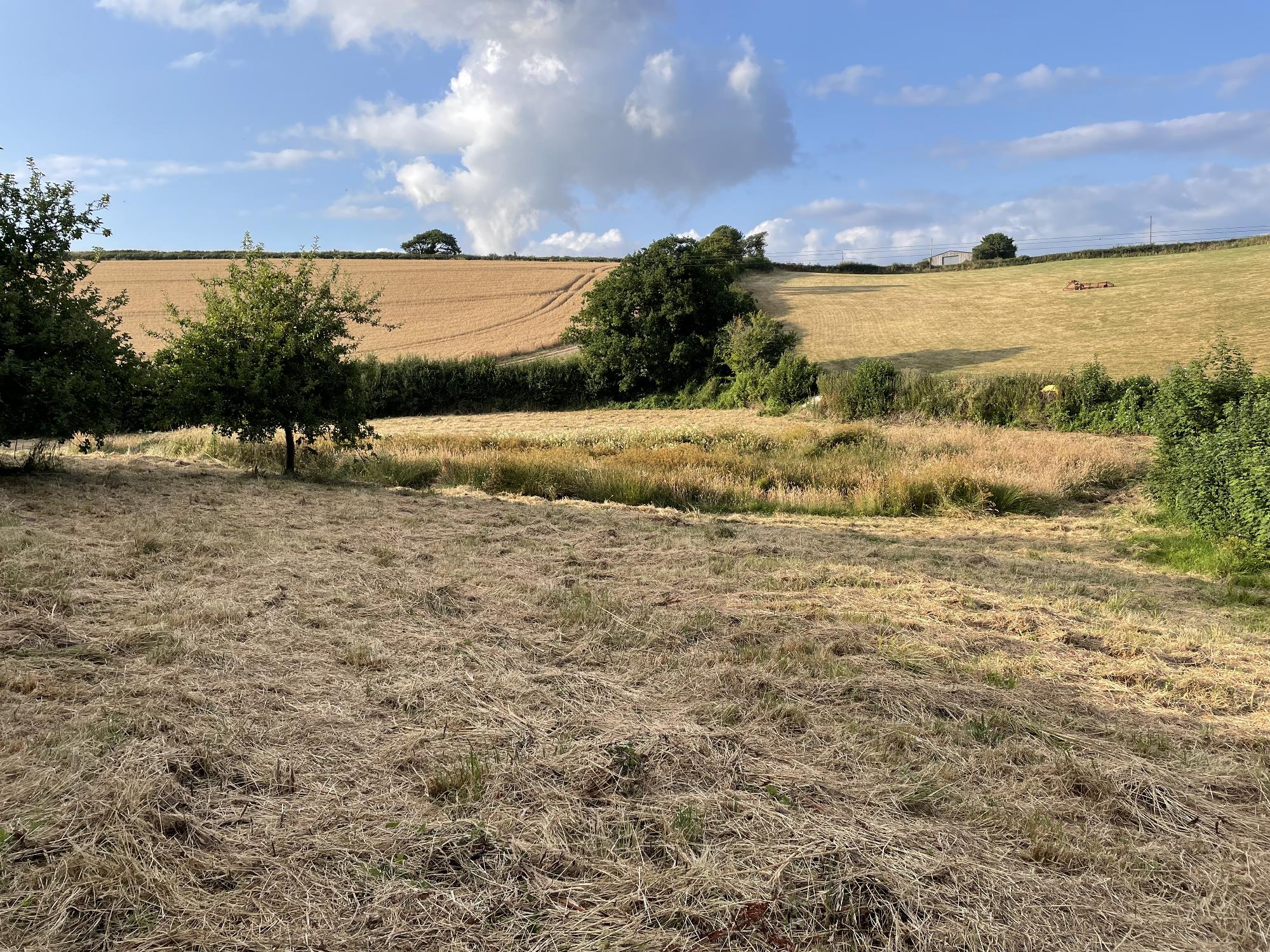 Orchard wildlife paddock