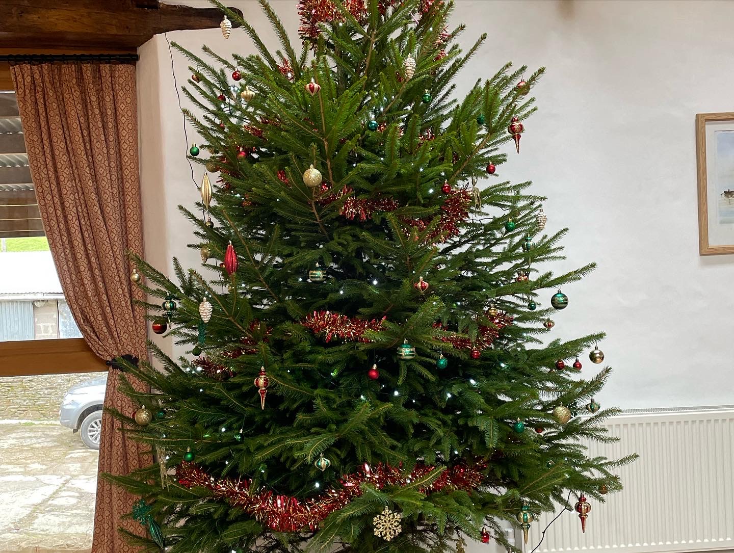 Christmas tree in Tawny cottage