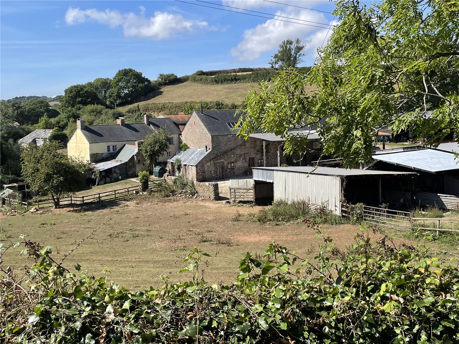 Dog friendly holiday cottages