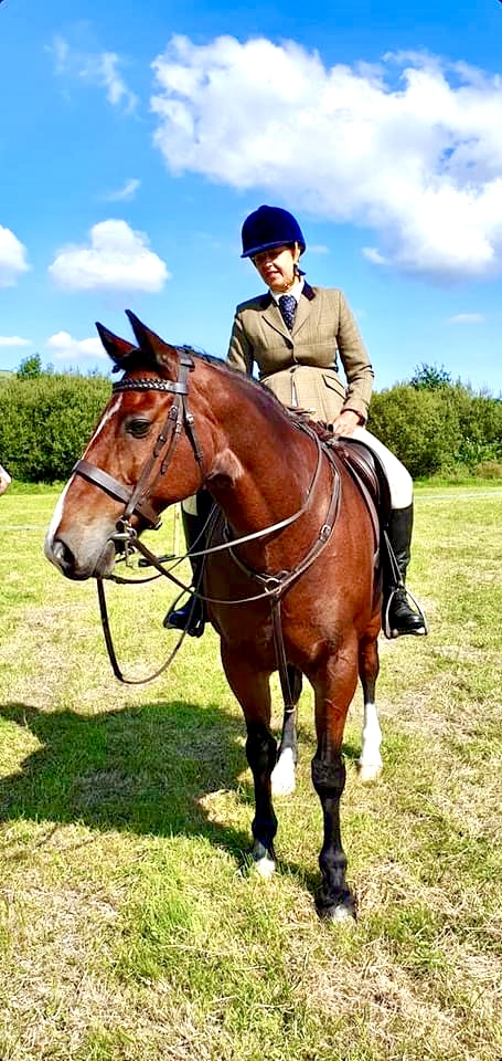 Horse at a horse show