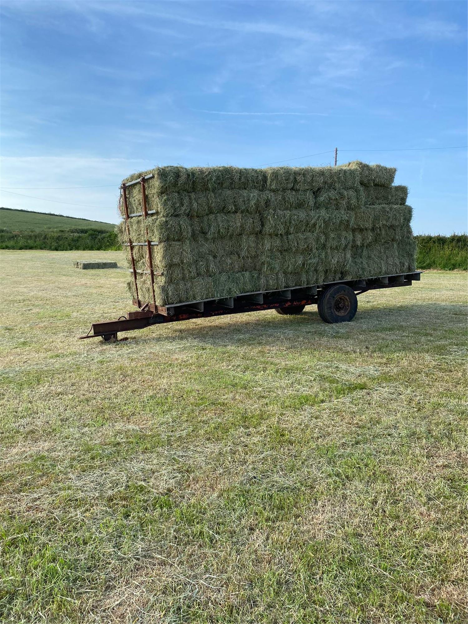 Hay bales in summer