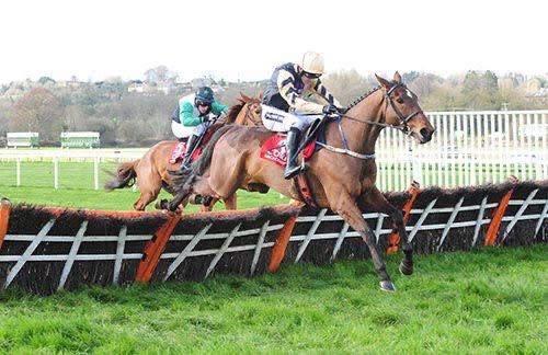 Race horse jumping a hurdle, now lives at Woodbury farm cottages